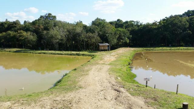 Linda Chácara Pague e Pesque, Bairro do Nogueiras - Areia Branca - Foto 12