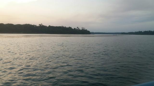 Terra 4 alqueires 200 metros Rio Tocantins 12 tanques - Foto 5