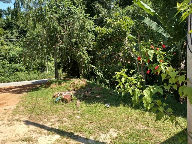 Terreno proximo do rio macaé - serra - Foto 4