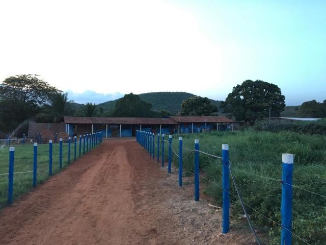 Terreno ou Rancho - Foto 3