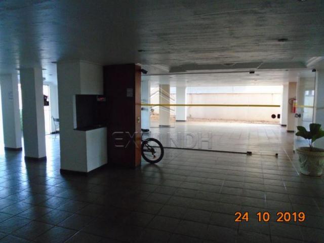 Apartamento para alugar com 2 dormitórios em Jardim sao jose, Sertaozinho cod:L1256 - Foto 8