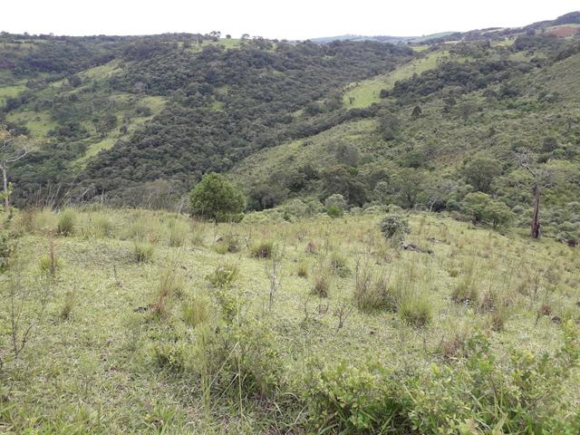 Fazenda - Foto 5