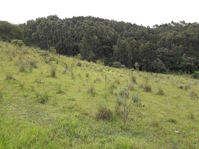 Fazenda - Foto 2