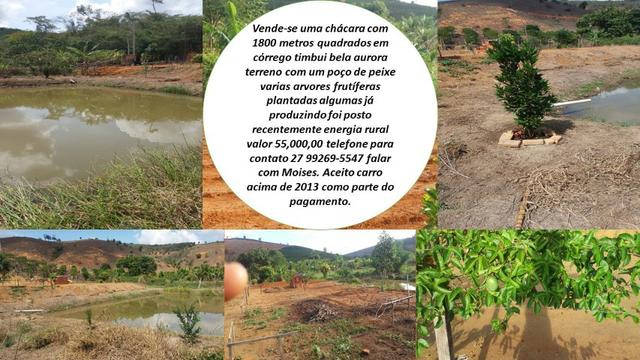 Chacara 2000 mtros quadrados de terra - Foto 20
