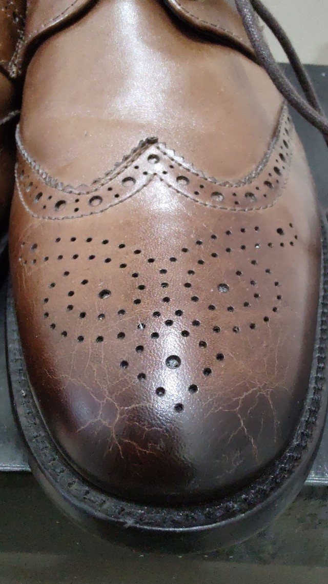 Sapato Masculino Enzo Milano - HI-LO Boutique, Moda Feminina, Loja de  Roupas Feminina em Veranópolis