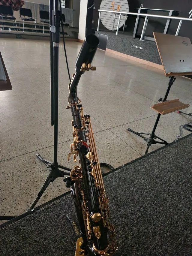 Sax alto kingstone
