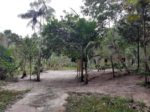 sitio br 174 km 17 com piscina natural otimo ramal proximo fazenda  esperanca - Foto 4