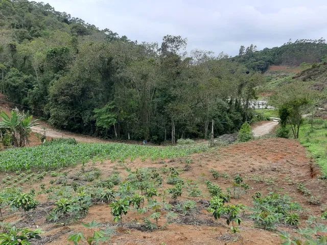 Sítio em Santa Maria de Jetibá - Gonçalves - Foto 2