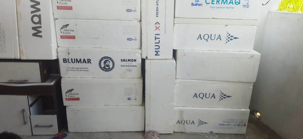 Caixas de Isopor para diversos - Novas e em Ótimo Estado!