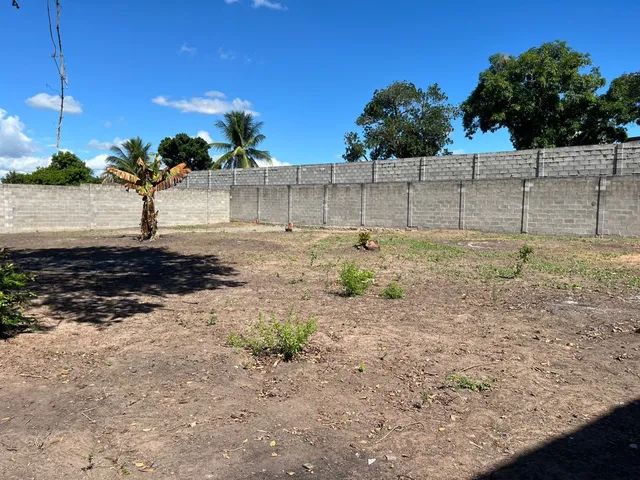 Excelente  terreno  para aluguel  Bairro  Sim - Foto 9