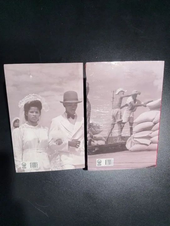 A Integração do Negro na Sociedade de Classe, Volumes 1 e 2 - Florestan Fernandes - Foto 2