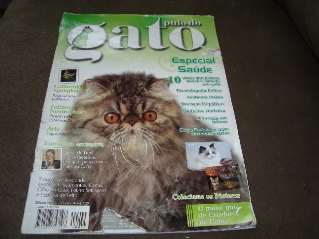 Revista Pulo Do Gato Especial Saúde Ed. 34