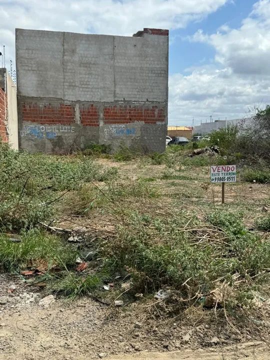 Terreno Lot Recife I  Rua 36  - Foto 2
