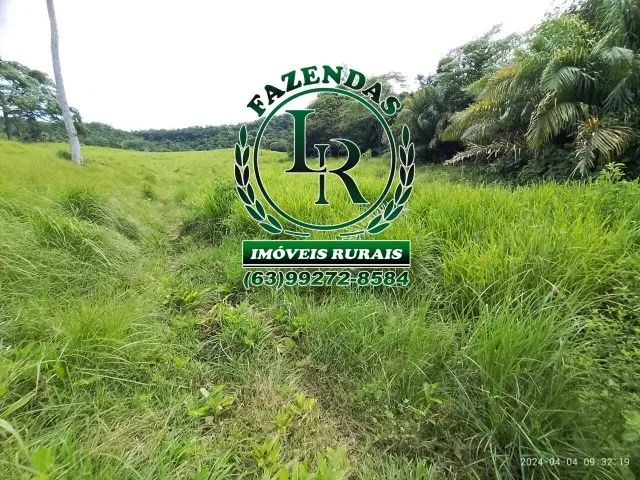 Chácara/Fazenda 11 alqueires  Próximo a Palmas - Foto 10