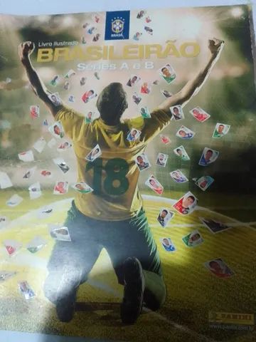 Livro ilustrado brasileirão vazio