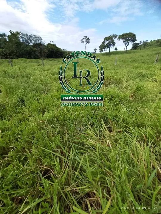 Chácara/Fazenda 11 alqueires  Próximo a Palmas - Foto 4