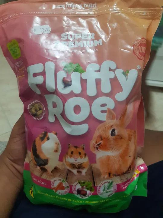 Porquinho da india  - Foto 4