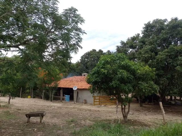 foto - Goiânia - Não informado