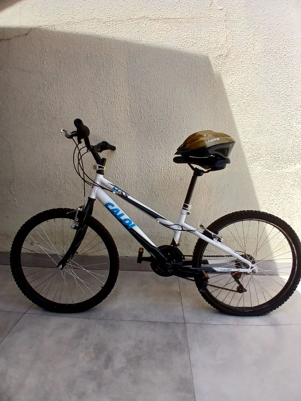 Caloi Max MTB Aro 24 21v