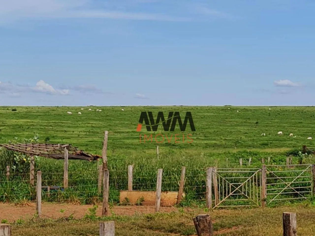 Fazenda à venda,  m² por R$ 90.000.000,00 - Zona Rural - Guadalupe/PI - Foto 3