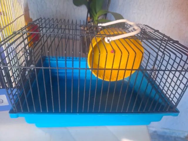 Gaiola para hamster64861039276417121