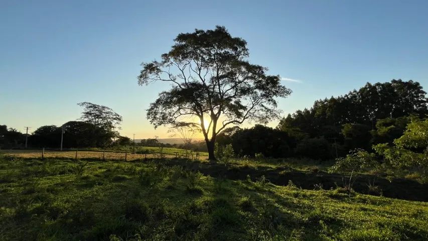 Vendo Chácara 10.000m2