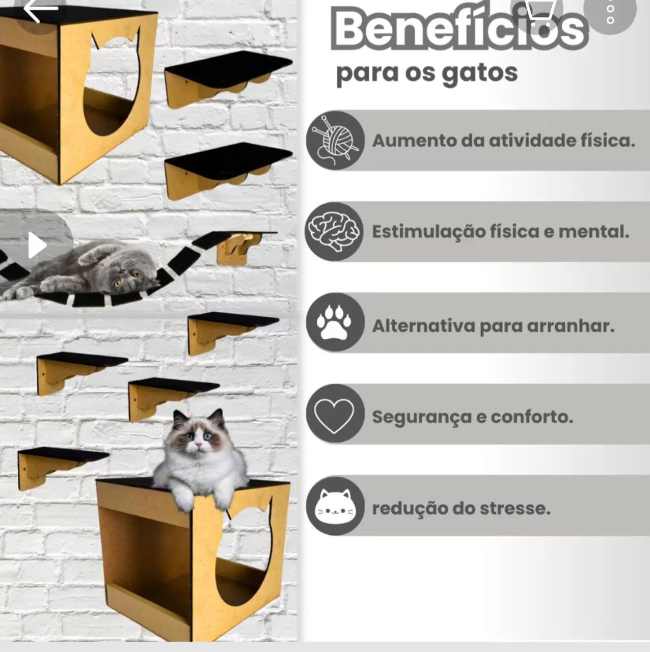 Playground para gato64651356662787122