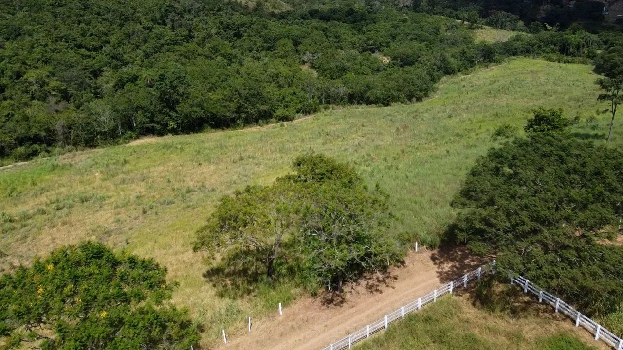 Maravilhosa fazenda 253 hectares rica Água - Foto 8