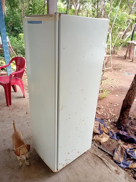 Geladeira Consul Usada - Foto 2