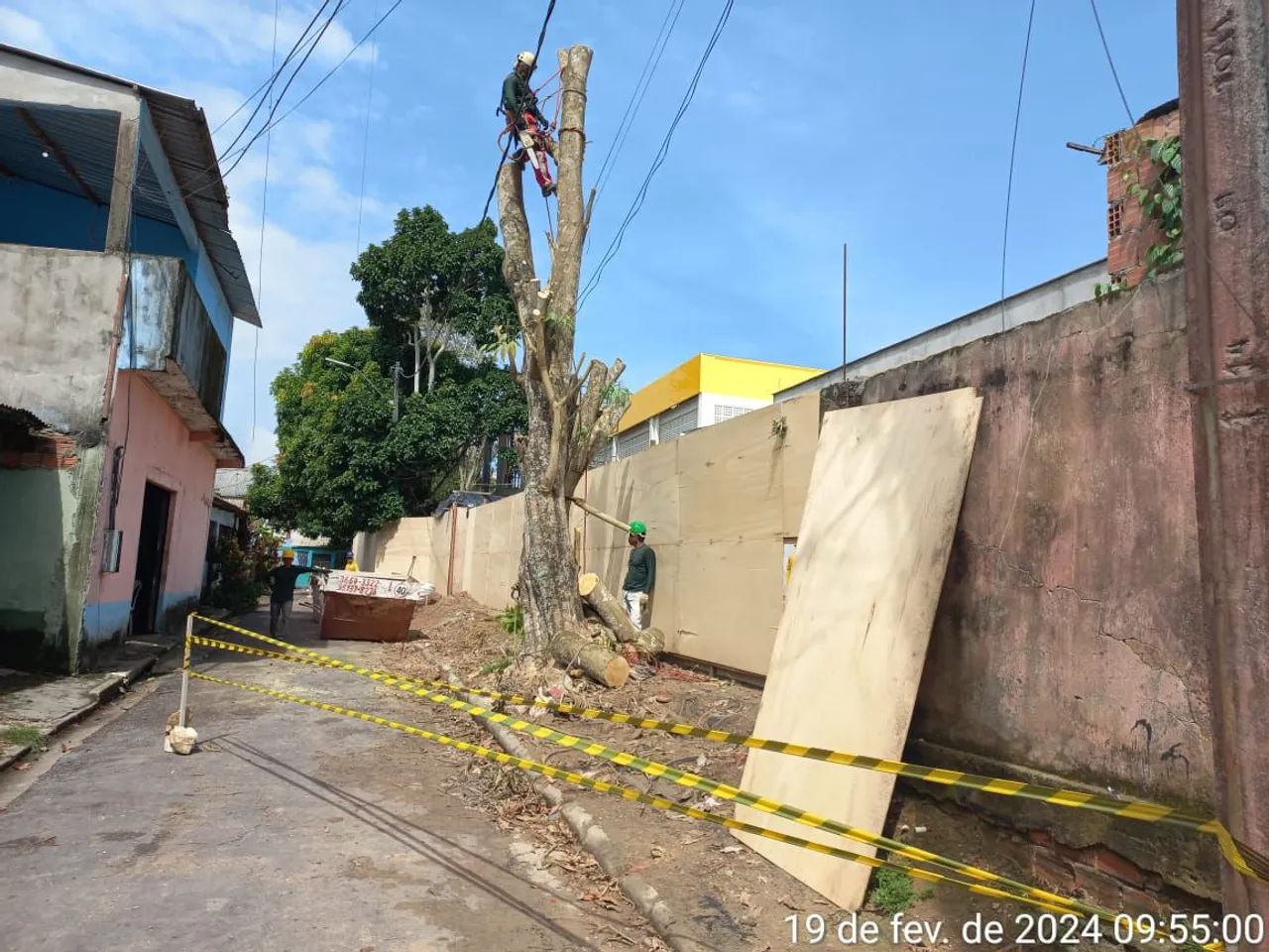 Cuidando de árvores com segurança, e roçagem  - Foto 2