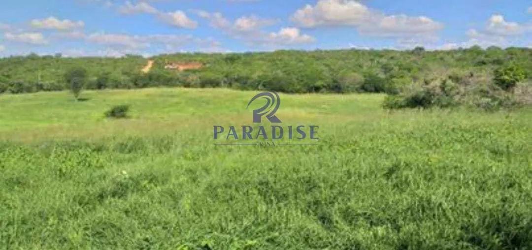 Fazenda, Zona Rural, Morro do Chapéu - R$ 2 mi, Cod: 68638 - Foto 3