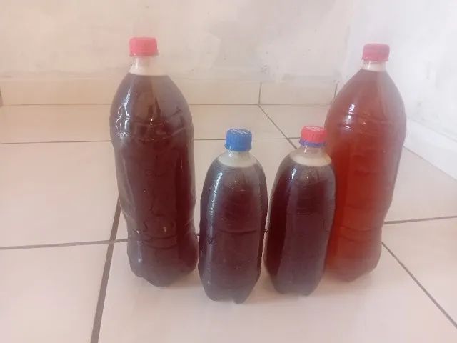 Mel de abelha italiana 100 litros - Foto 2