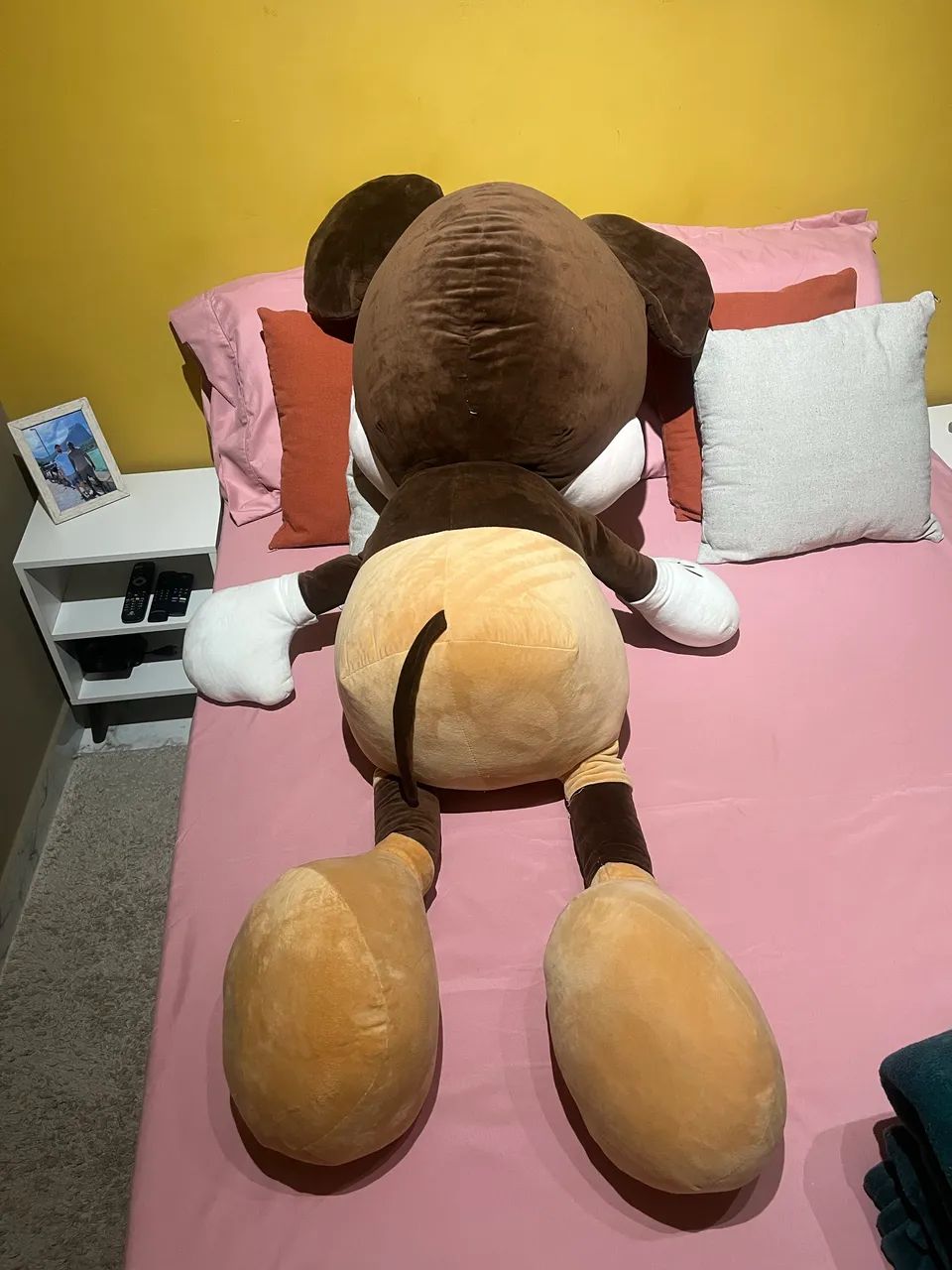 Mickey Gigante  - Foto 3