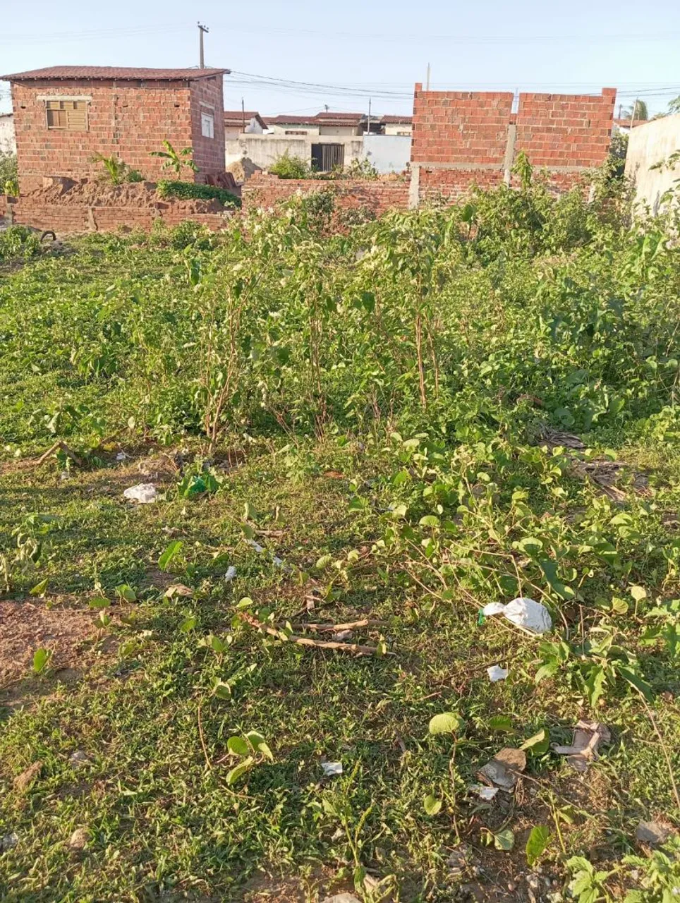 Terreno 10x20