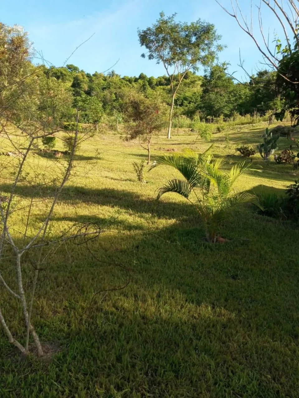 CASEIRO