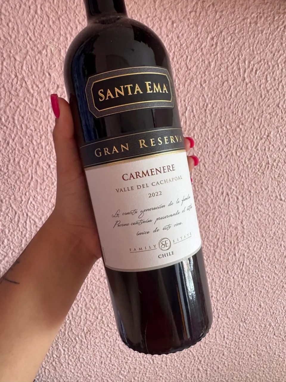 Vinho Santa Ema Gran Reserva Carmenere 2022 - Foto 4