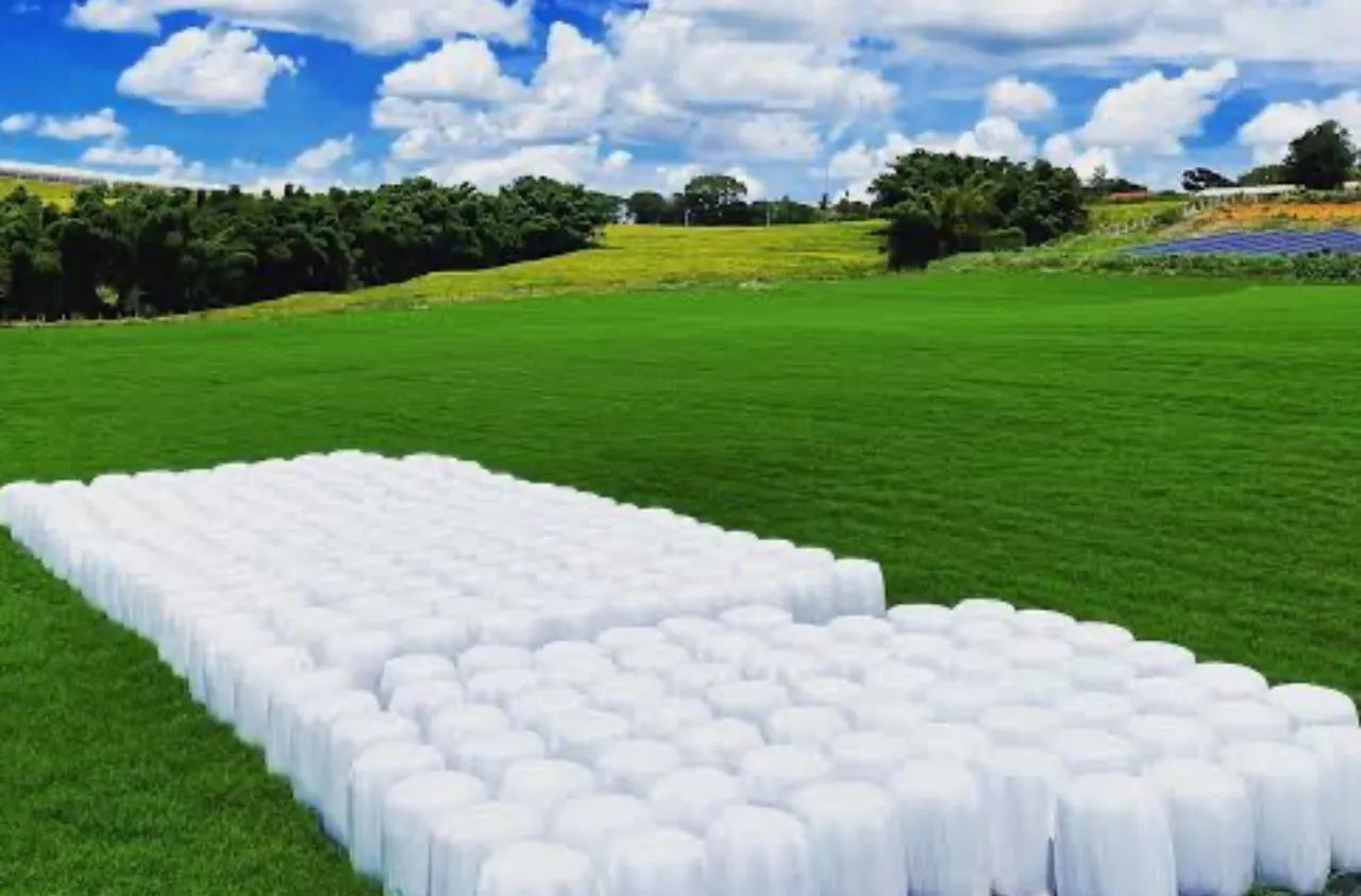 Vendo feno tipo Apré secado entrego sem custo de frete - Foto 2