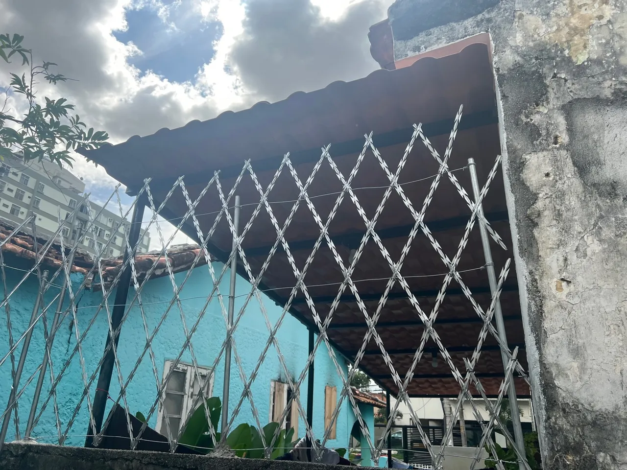 Concertina rede laminada