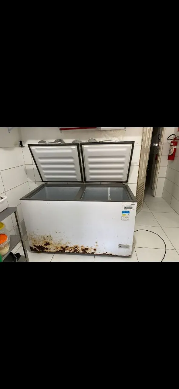 Tenho 2 Freezer Horizontal Duplo 1 geladeira