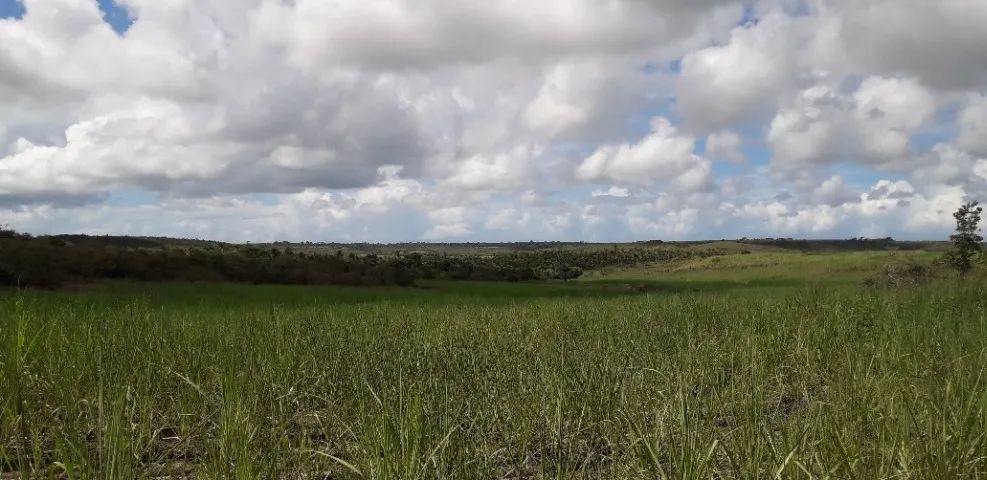 Terreno a venda imperdivel - Foto 5
