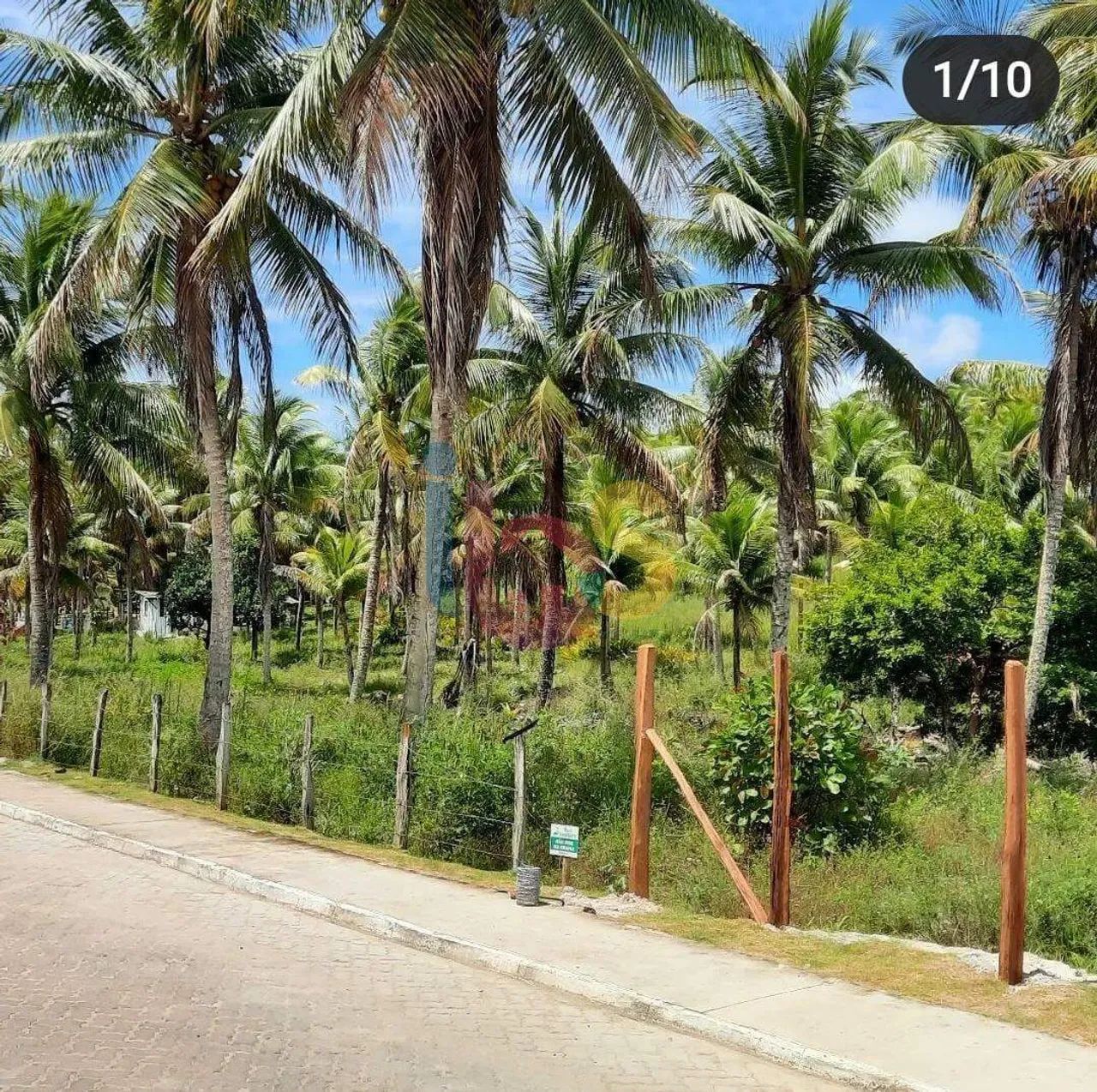 VENDO SITIO (LOTE) LENÇÓIS, UNA-BA - Foto 5
