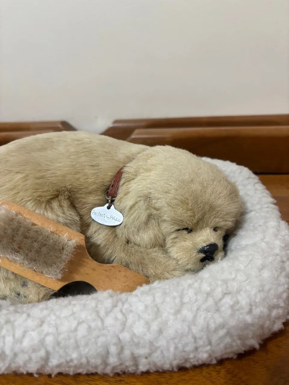 Perfect Petzzz - Modelo Golden Retriever