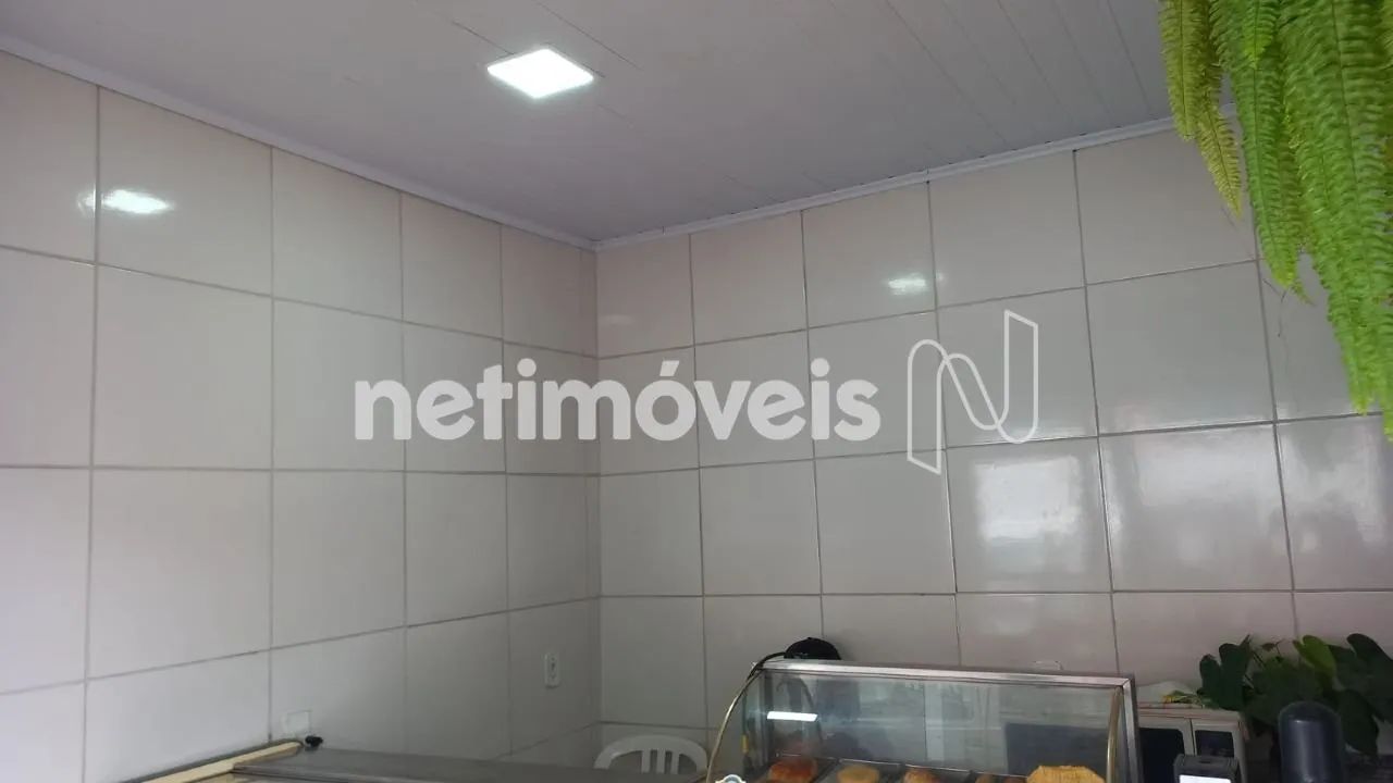 Locação Loja Arvoredo 2ª Seção Contagem - Foto 4