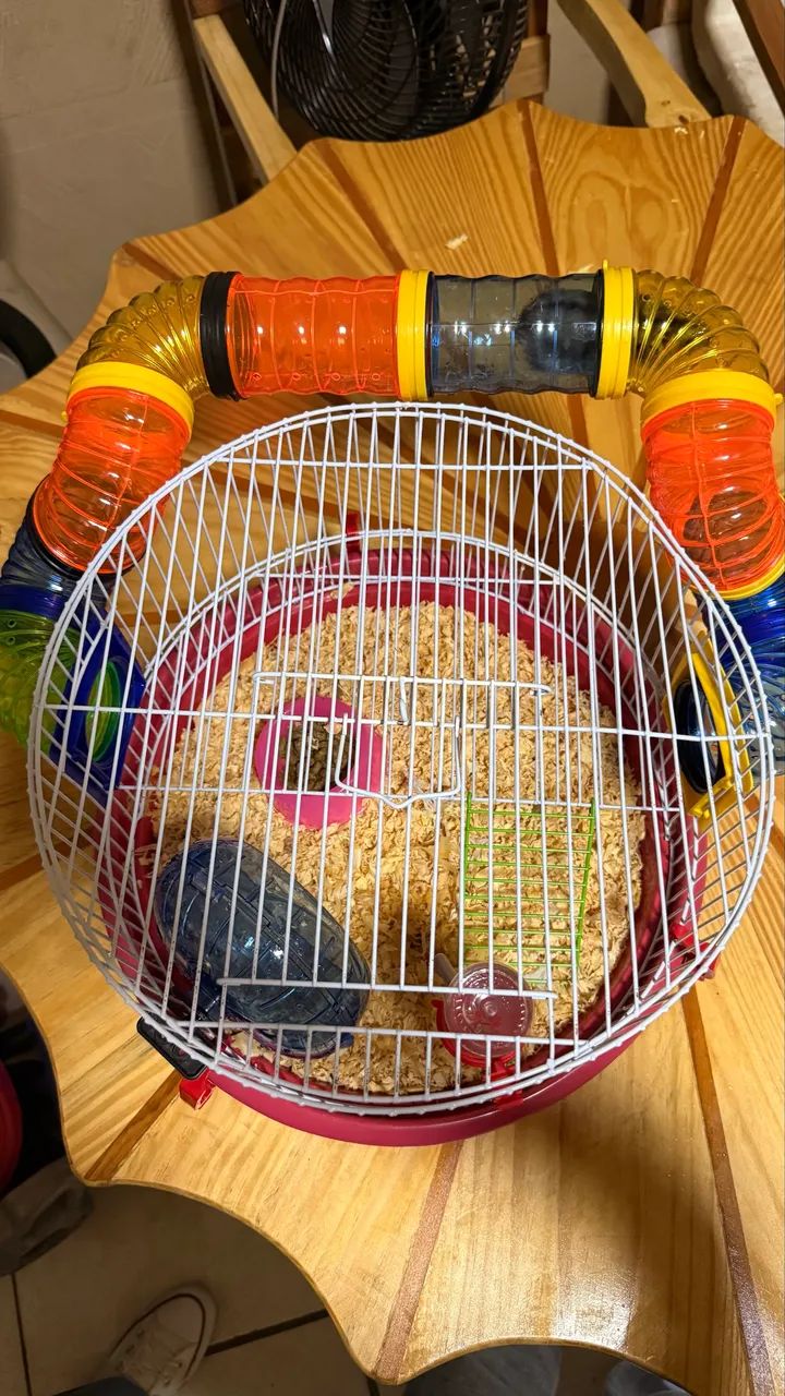 Hamster bebê com gaiola  - Foto 4