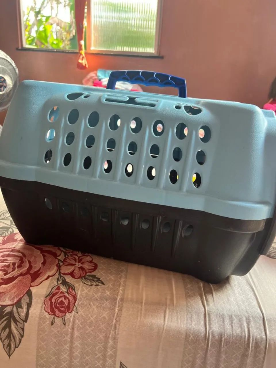 Transporte de pets 