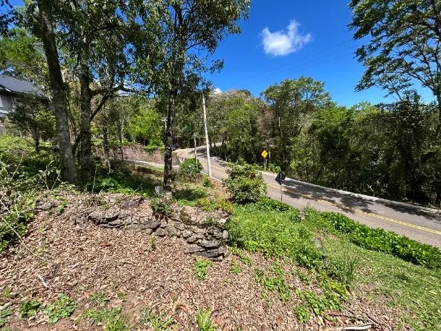 Vende-se terreno com 840,00 m² em Gramado/RS - Loteamento Vale dos Pinheiros - Foto 4