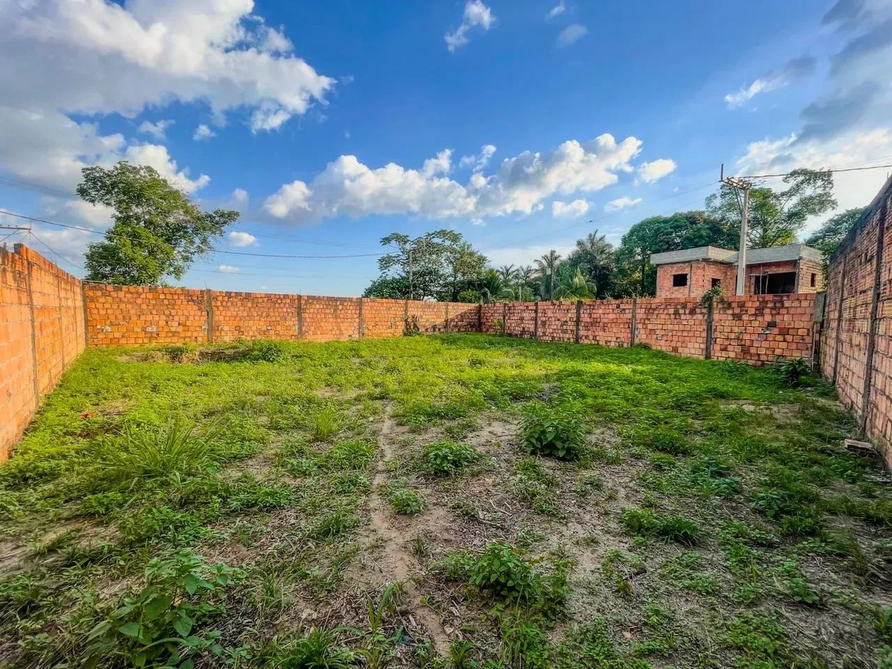 Terreno no Santa Etelvina com 441m² Todo Murado - Foto 4