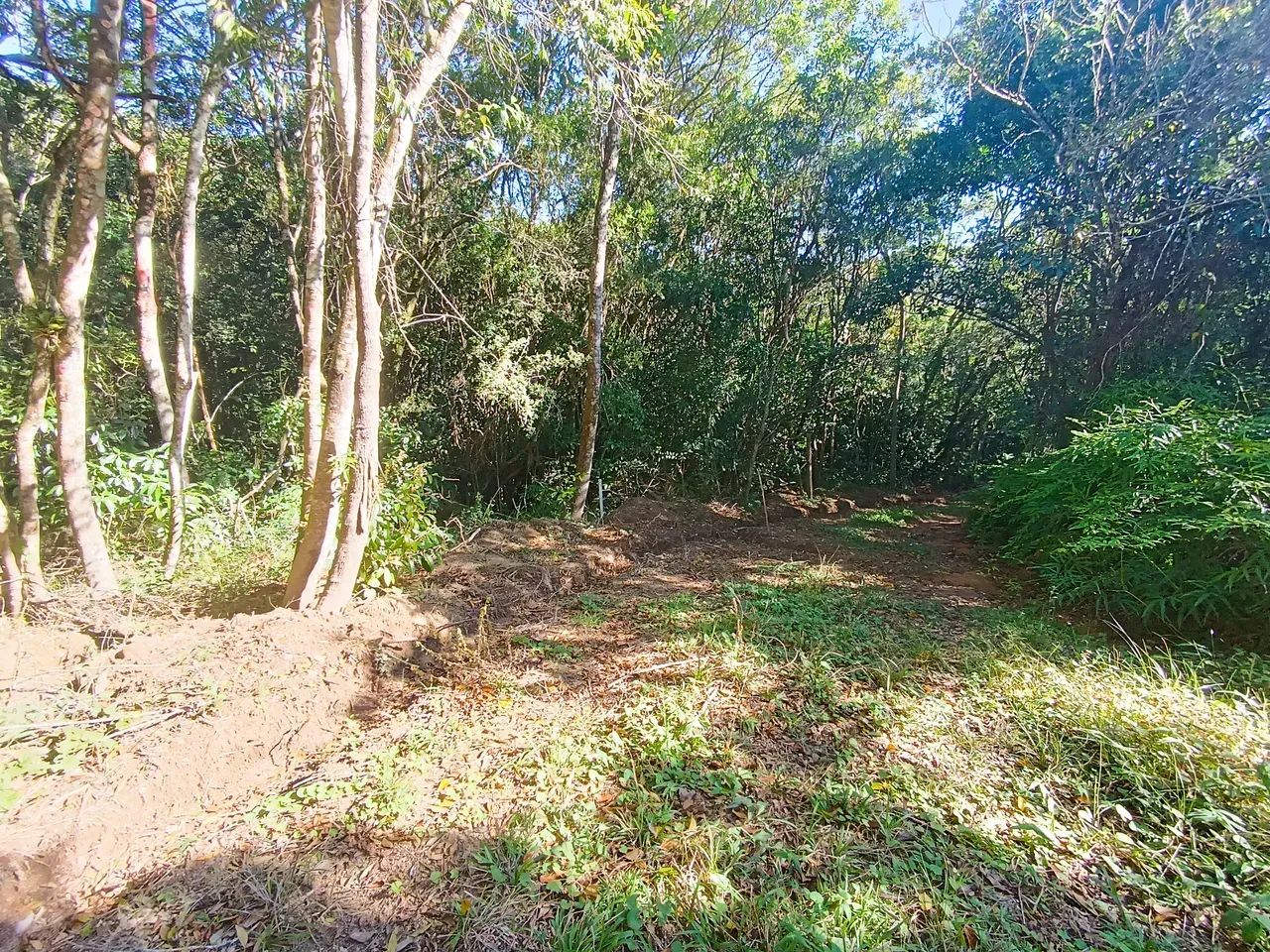 Vendo Sítio Próximo da praia de Palmas - Foto 3