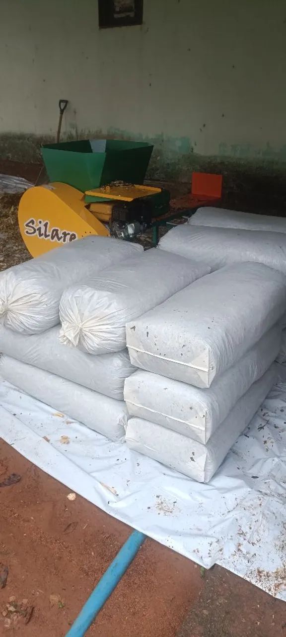 SILAGEM DE MILHO ENSACADA - Foto 4