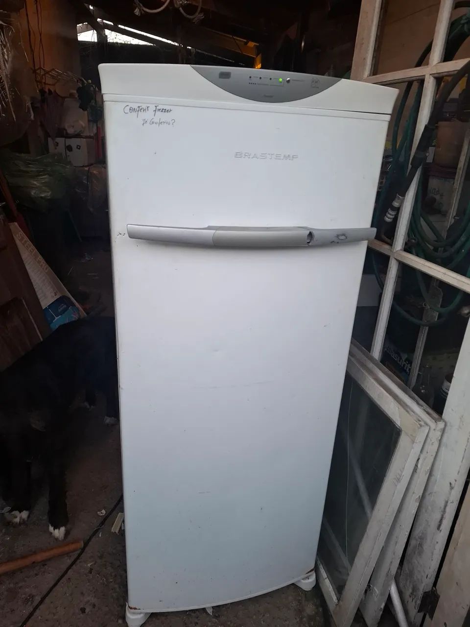 Freezer 